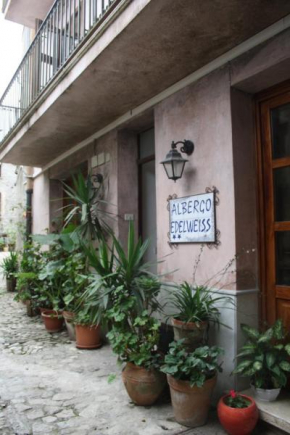 Отель Hotel Edelweiss  Эриче